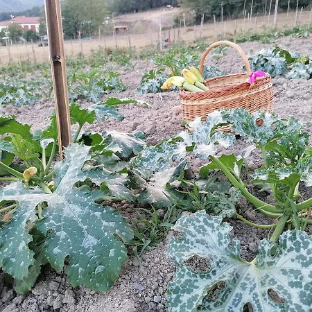 Agriturismo Dei Legi San Pietro Vara Eksteriør billede