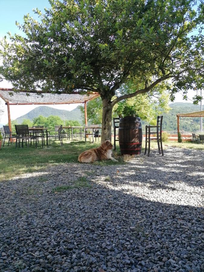 Agriturismo Dei Legi San Pietro Vara Eksteriør billede