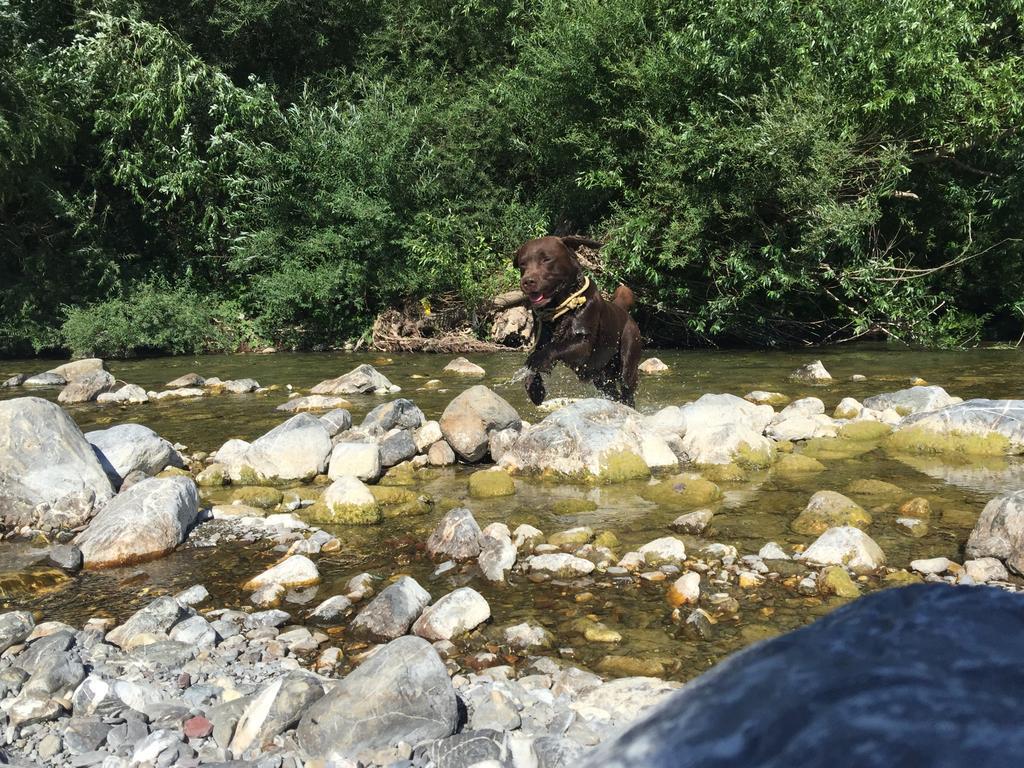 Agriturismo Dei Legi San Pietro Vara Eksteriør billede
